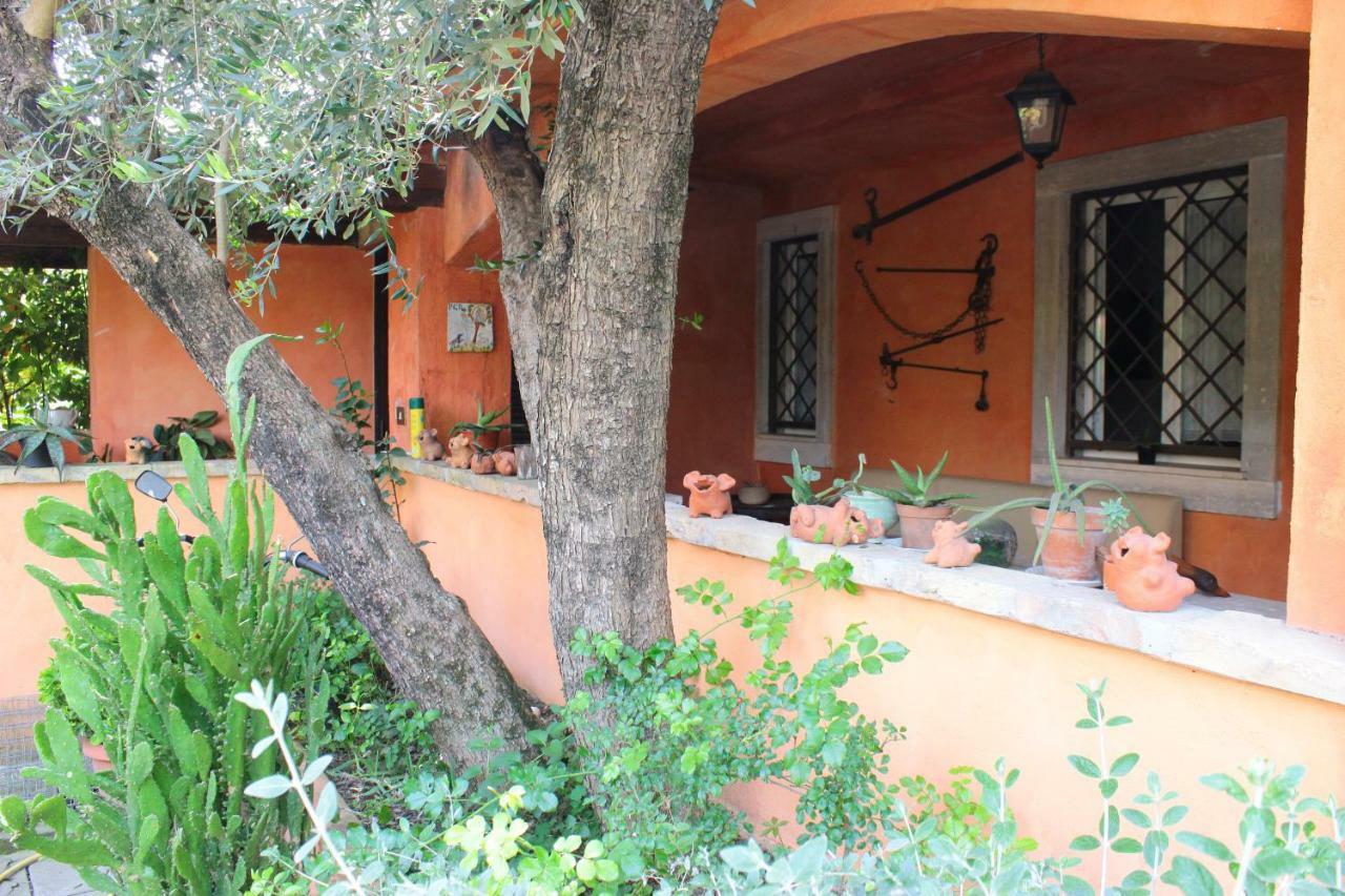 B&B Country Lemon Santa Marta Exterior foto