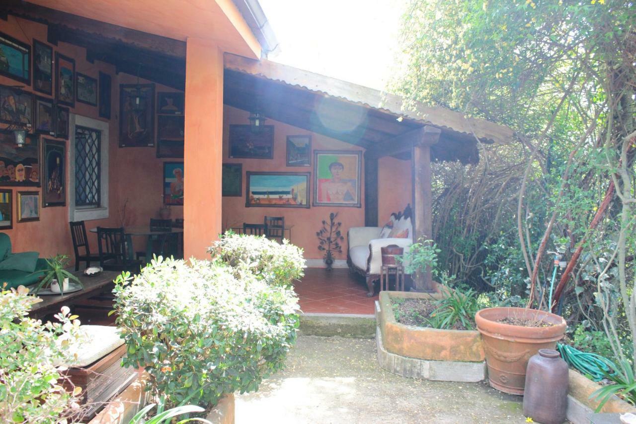 B&B Country Lemon Santa Marta Exterior foto